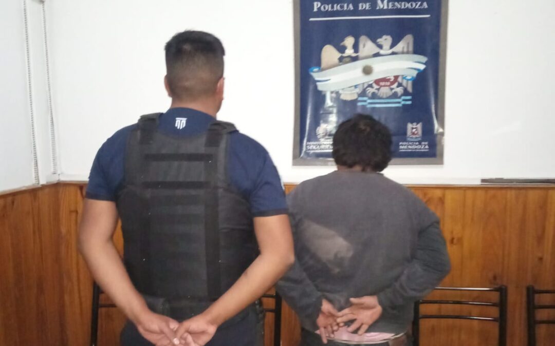 Siete personas fueron detenidas por la Policía en patrullajes preventivos
