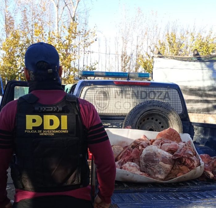 Allanamientos: secuestraron más de 150 kilos de carne y elementos vinculados a un caso de abigeato