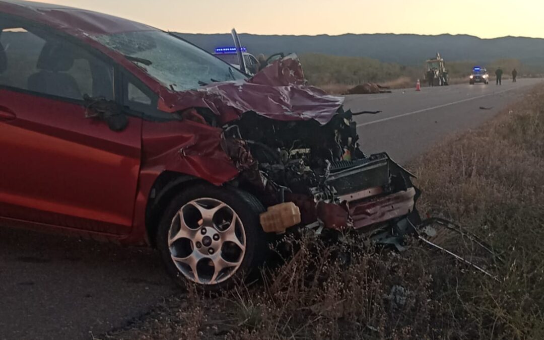 Un conductor resultó herido tras chocar con un vacuno
