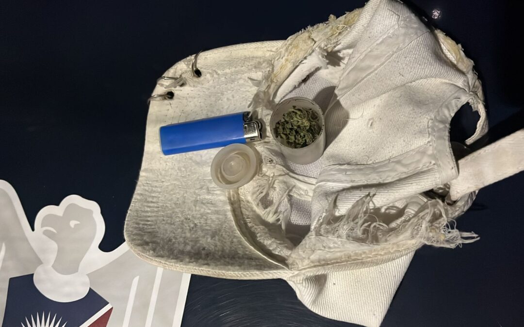 Tres personas fueron detenidas con drogas en Tupungato