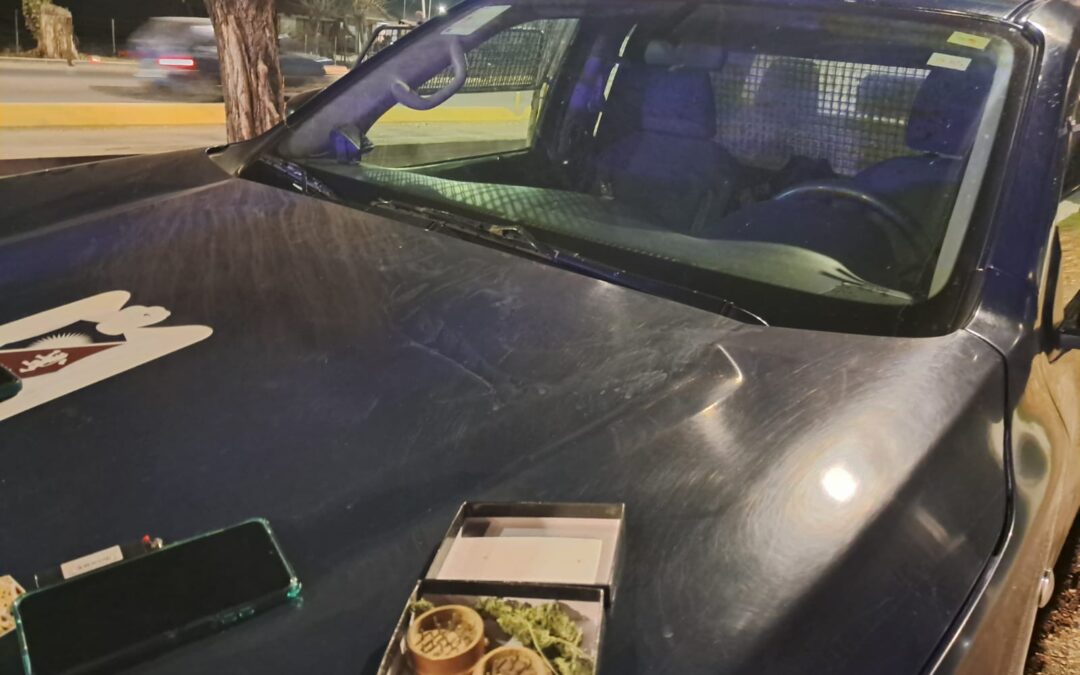 La Policía de Mendoza desactivó hechos delictivos en Tupungato