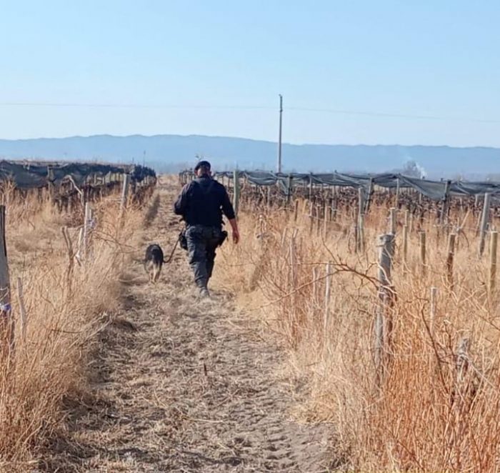 El olfato de “Troya” permitió recuperar elementos robados en Tupungato