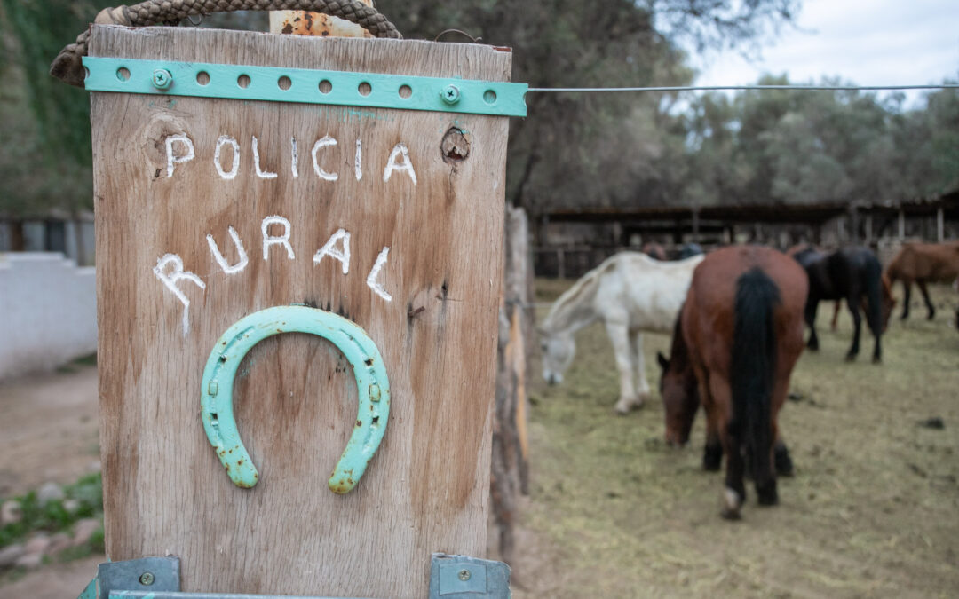 La Policía decomisó casi 200 kilos de carne en mal estado y recuperó animales robados en operativos simultáneos