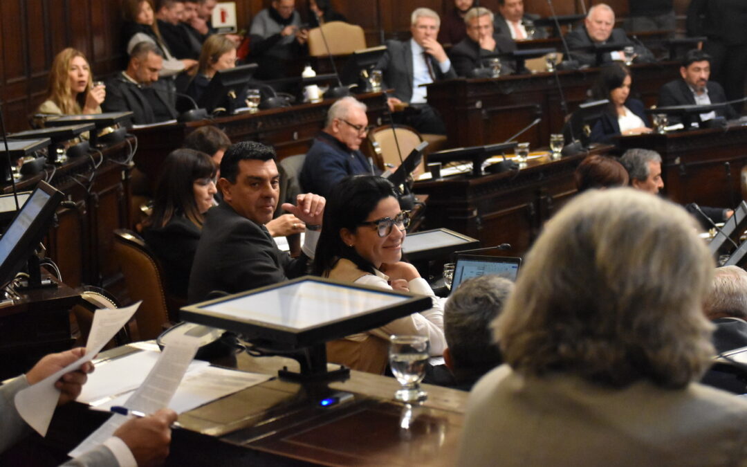 Media sanción a regular en la provincia la actividad de guardavidas