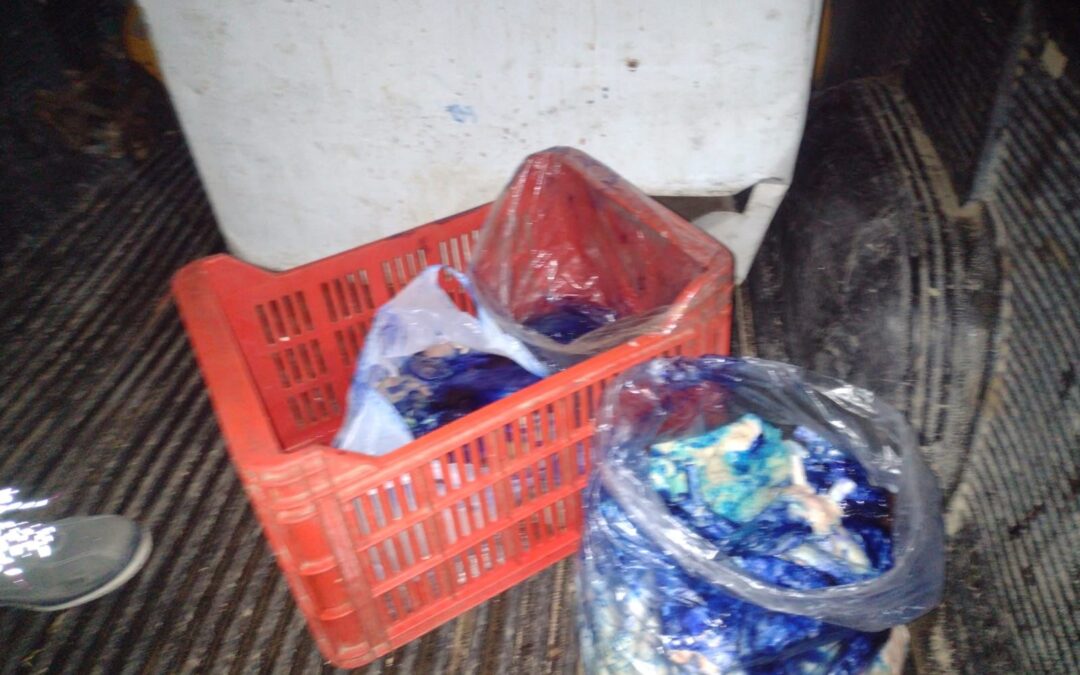 La Policía Rural secuestró carne en mal estado y fauna silvestre en operativos en el Valle de Uco