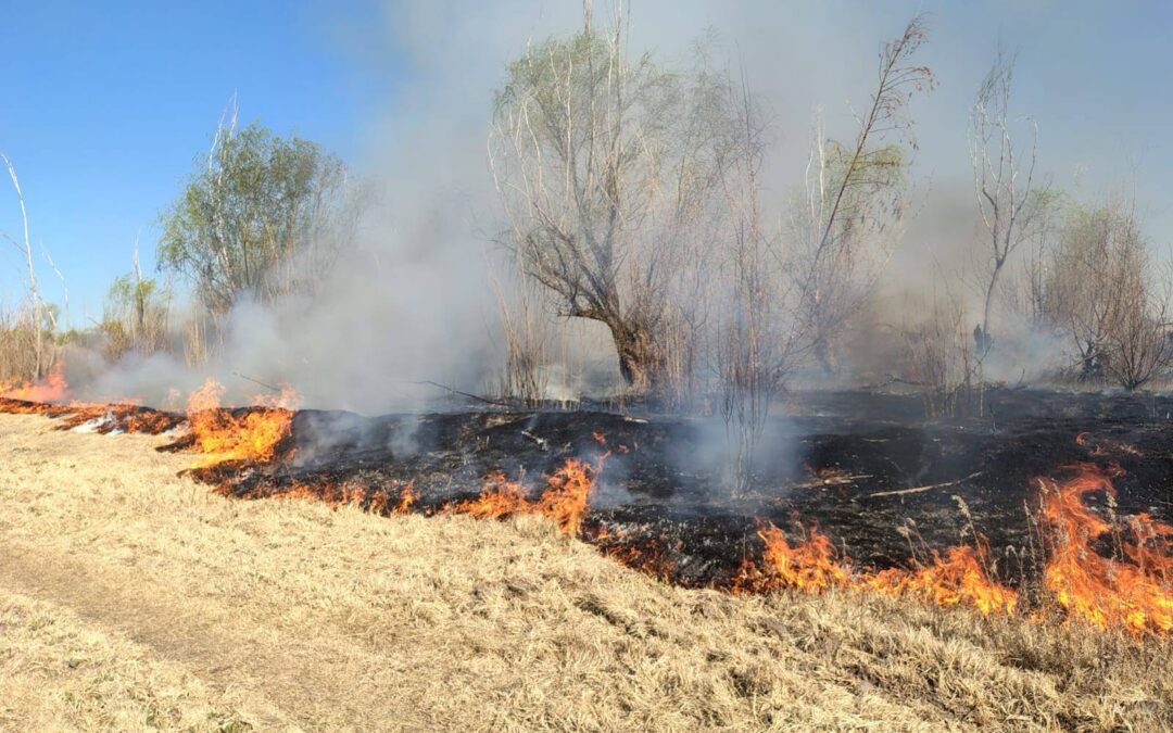 Se quemaron más de 30 hectáreas de terrenos incultos en San Carlos