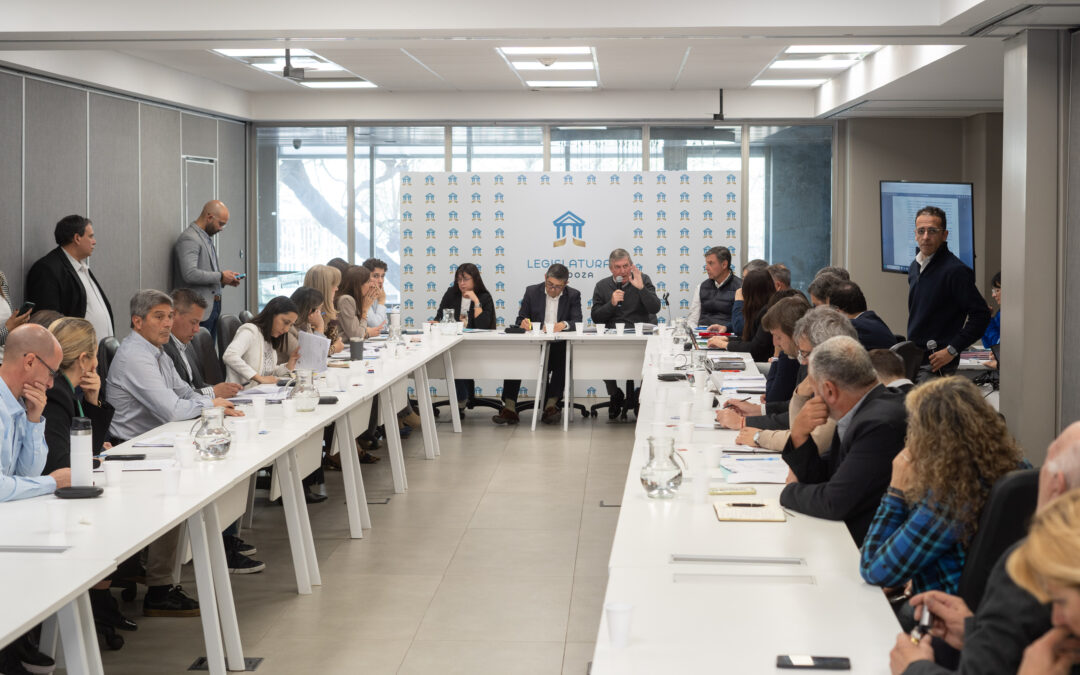 Comenzó el análisis del proyecto que modifica el Estatuto del Empleado Público en Mendoza