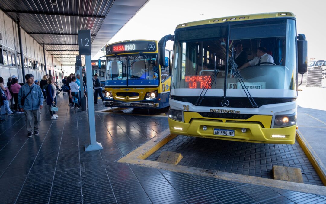 Elecciones y transporte: cómo funcionará el domingo próximo en corta, media y larga distancia