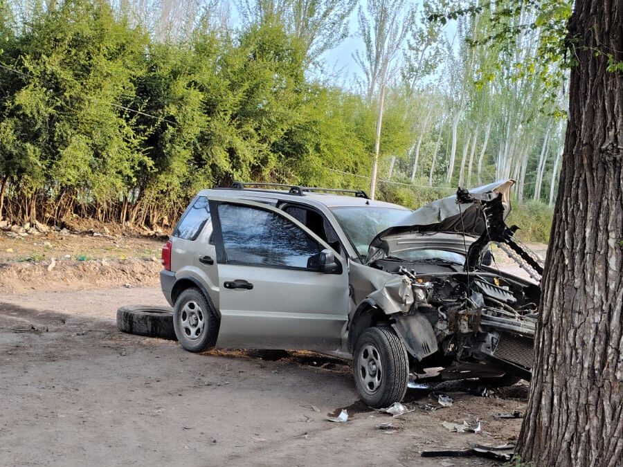 Tunuyán: conducía en estado de ebriedad y colisionó contra un árbol