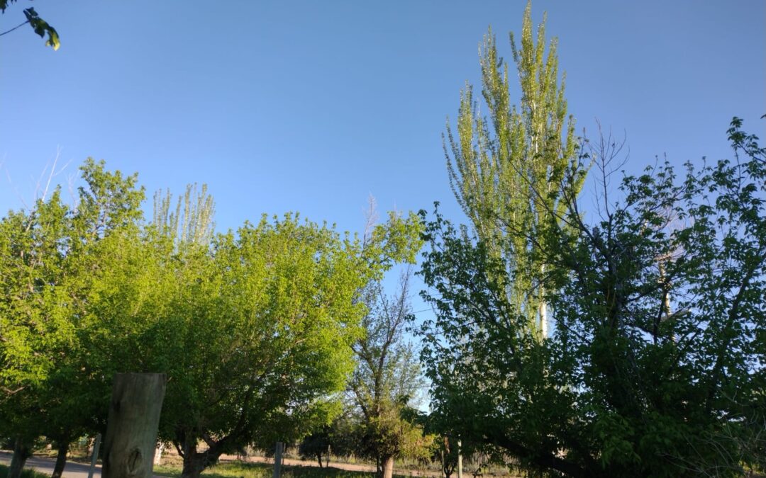 Asciende la temperatura este miércoles en Mendoza