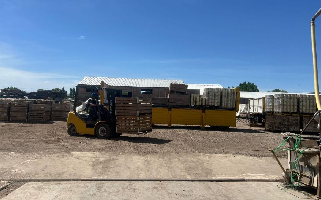San Carlos: la Policía Rural decomisó más de 42 mil productos no aptos para el consumo