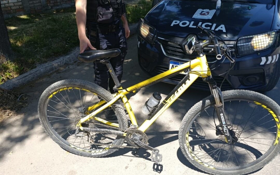 Aprehendieron a un menor en Tupungato tras robar una bicicleta