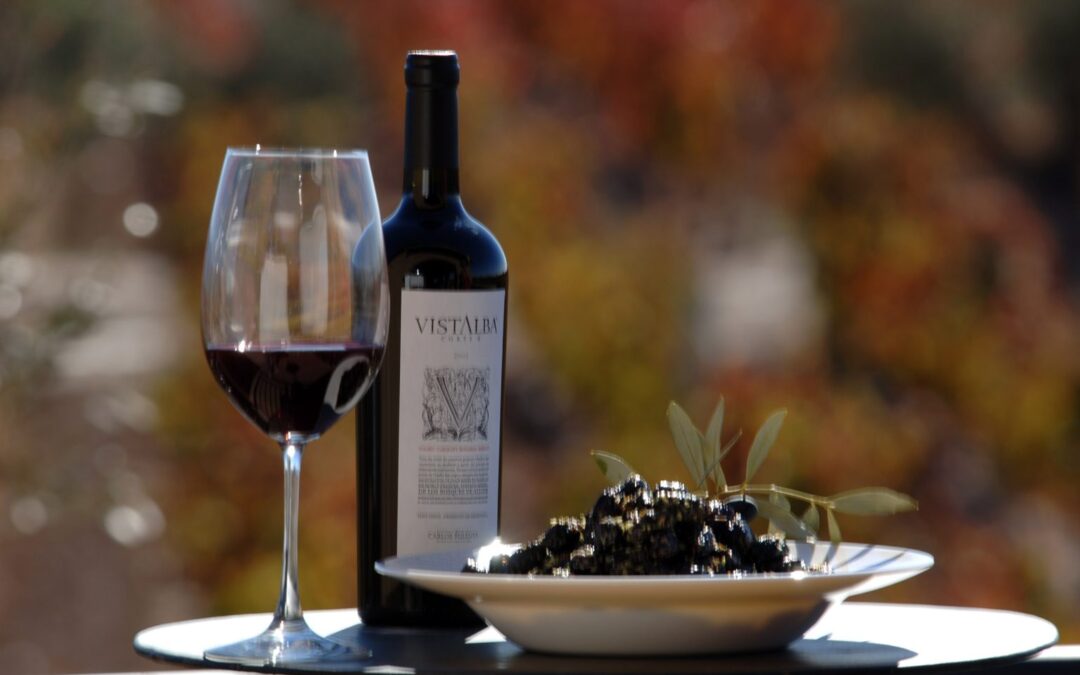 Mansa Bodega: un nuevo recorrido por los sabores del vino mendocino