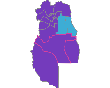 La alianza La Libertad Avanza + Cambia Mendoza logró un amplio triunfo en toda la provincia