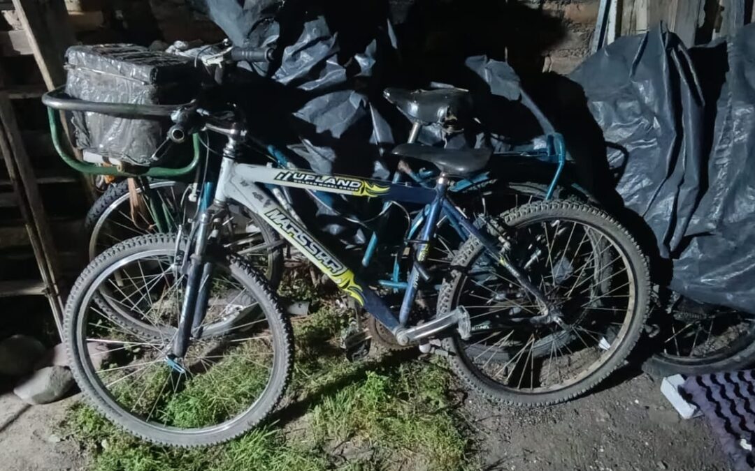 Tupungato: la UEP desplegó operativos de patrullaje preventivo que concluyeron con cinco detenidos