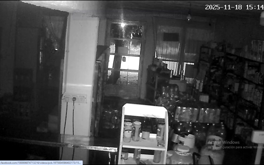Robaron en un comercio en el distrito de Vista Flores