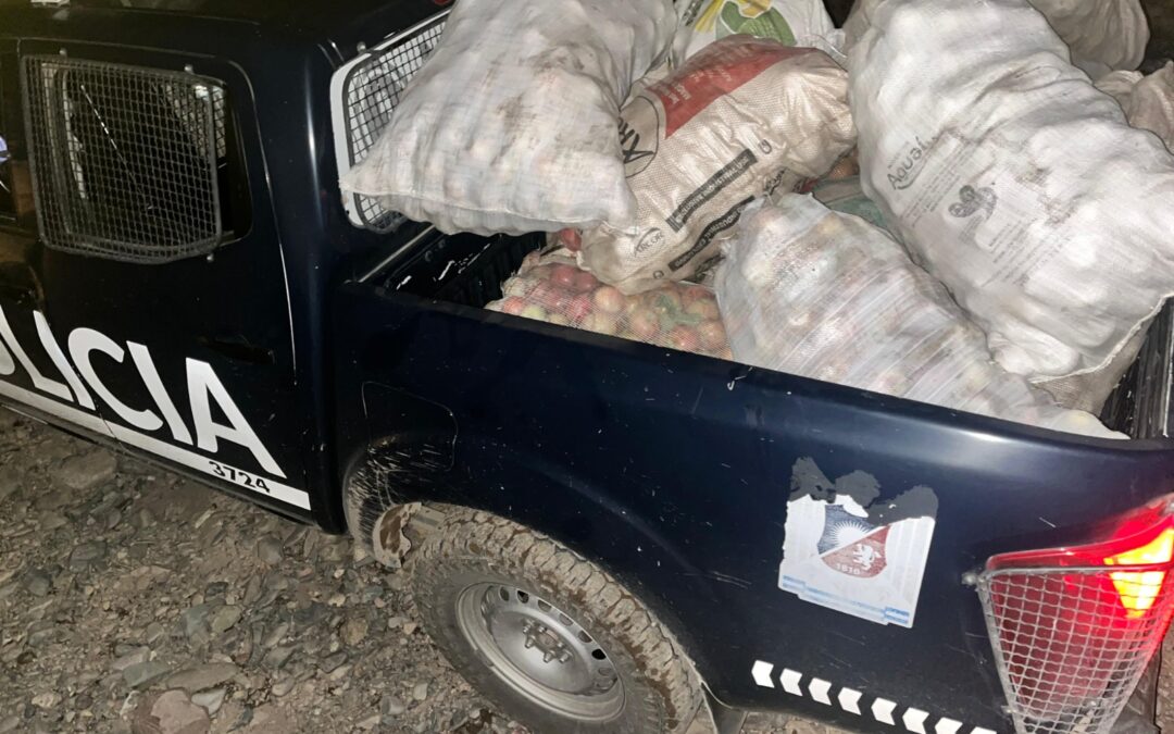 Recuperan manzanas que habían sido sustraídas de una finca en Tupungato