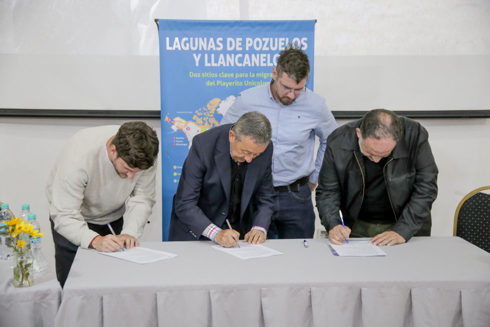 Llancanelo fue reconocida como sitio clave para las aves migratorias y avanzó en un acuerdo para fortalecer su conservación
