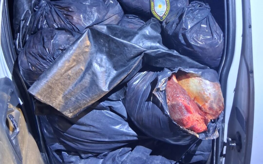 San Carlos: Llevaban 2 toneladas de carne en los asientos de una camioneta y quedaron detenidos