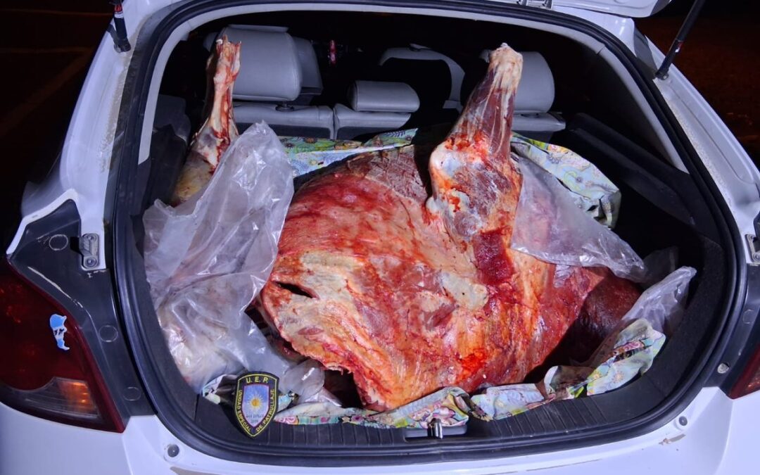 San Carlos: decomisan 140 kilos de carne vacuna en un operativo contra el abigeato