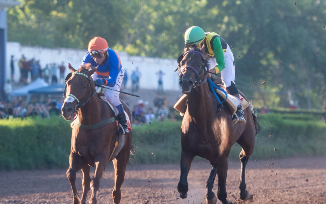Endo Verde ganó el Gran Clásico Vendimia en el Hipódromo de Mendoza