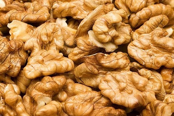 Mendoza refuerza los controles para garantizar un traslado seguro y ordenado de frutos secos durante la temporada 2026