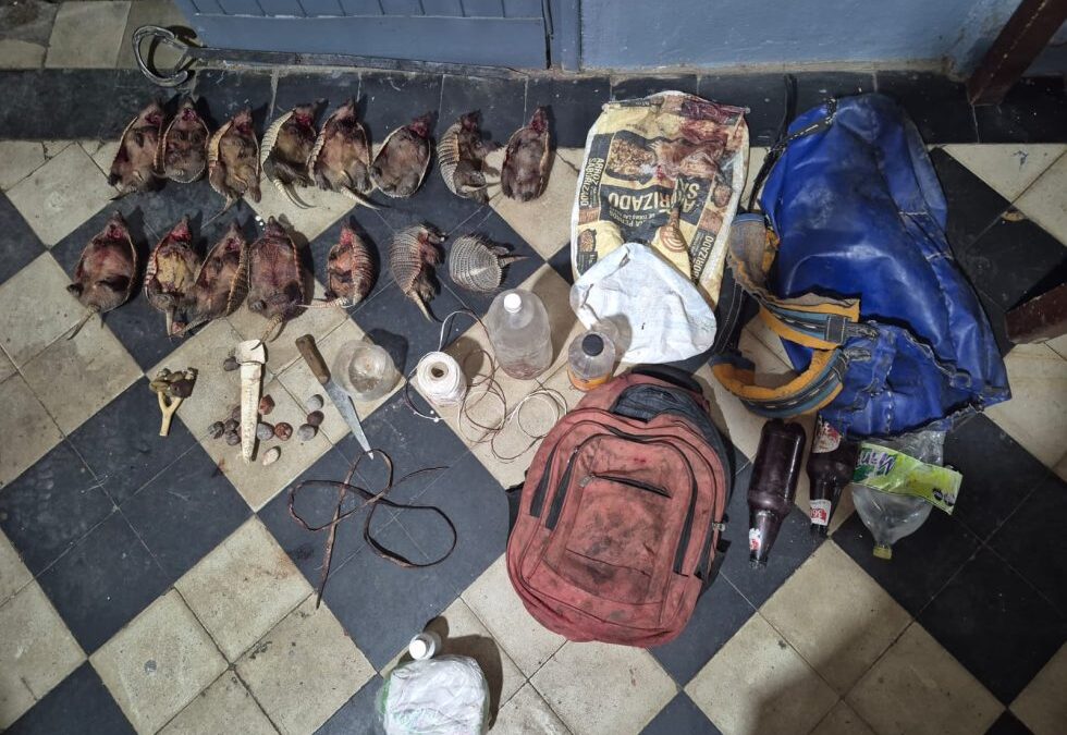Cayeron tras intentar huir por la Ruta 40 con 15 piches muertos y perros de caza
