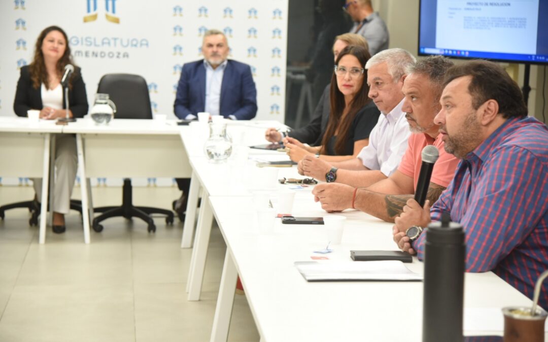 Mendoza: Gremios de petroleros y camioneros advierten en el Senado sobre una grave crisis ambiental y más de 1.000 despidos en la región Norte