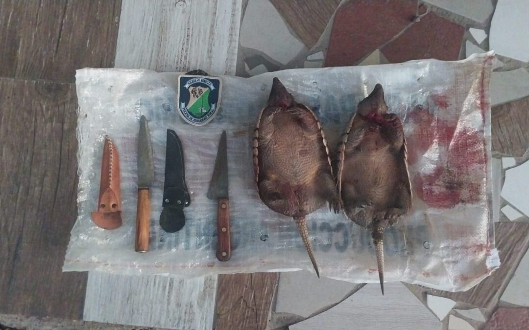 San Carlos: Siete hombres demorados por caza ilegal en Pareditas