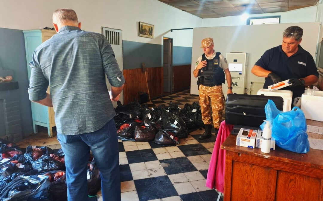 Pruebas de PCR confirman: el 80% del decomiso en San Carlos era carne de caballo