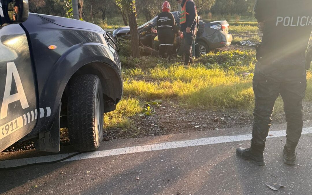 Murió un joven tras chocar contra un árbol en Ruta 143