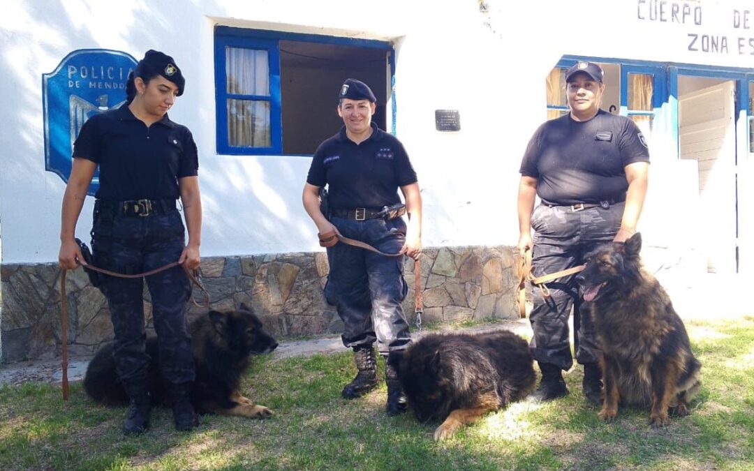Entre despedidas y nuevas historias: Parker, Polo y Puma cierran su etapa en la fuerza policial