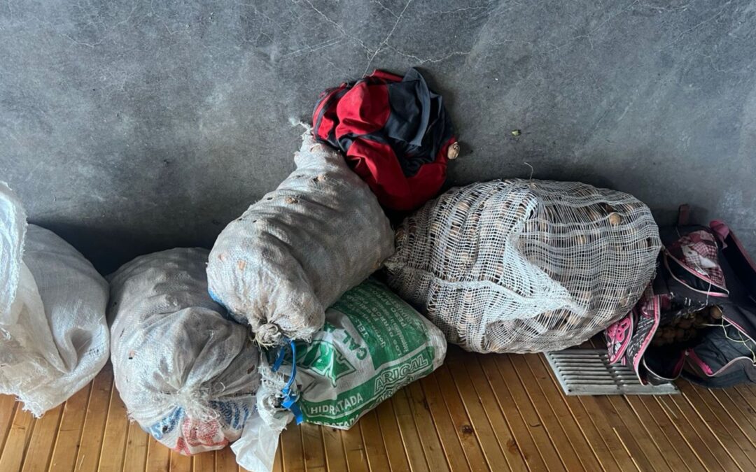 La Policía Rural recuperó 80 kilos de nueces robadas durante un operativo en Tupungato
