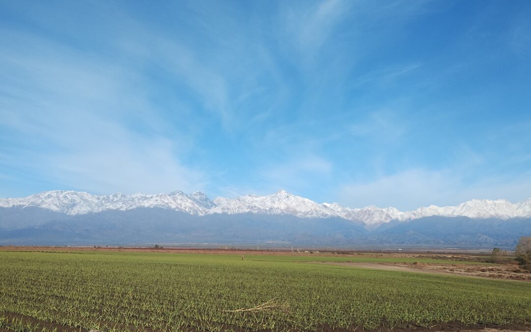 Lunes con cielo despejado y leve ascenso de la temperatura