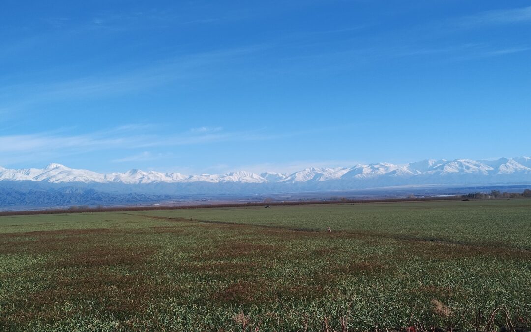 Viernes con leve ascenso de la temperatura en la provincia de Mendoza