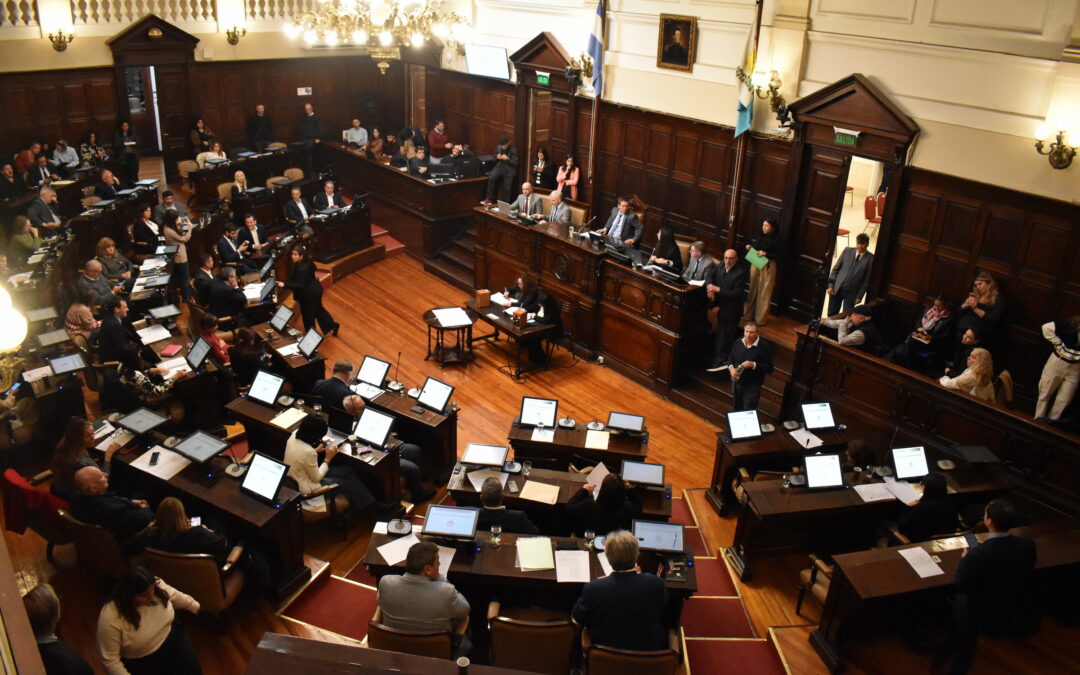 Media sanción a la enmienda constitucional para avanzar con la autonomía municipal