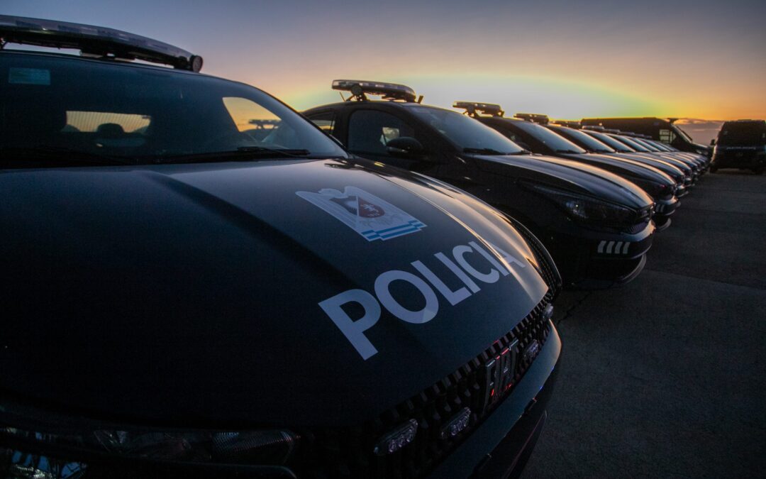 Armas, alcohol y robos frustrados: el saldo de las últimas intervenciones policiales en Tunuyán