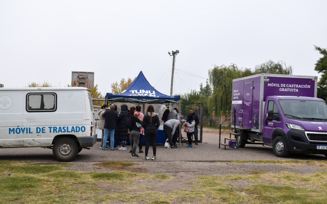 Jornadas de castración, vacunación y desparasitación en plazas de Tunuyán