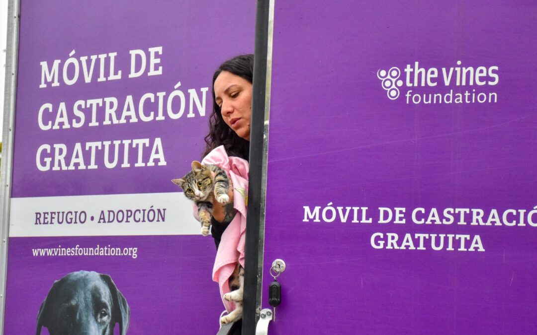 Dos años que dejaron huella: el impacto del convenio entre Fundación The Vines y el Municipio de Tunuyán