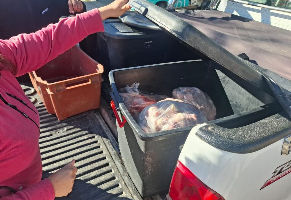 Controles rurales en el Valle de Uco: decomisaron carne y embutidos en mal estado durante operativos contra el abigeato