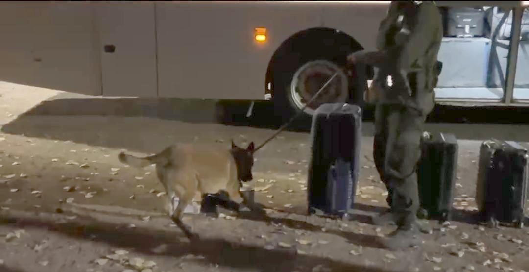 Incautan en Mendoza estupefaciente oculto en una encomienda