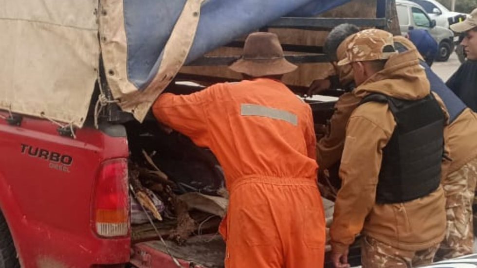 Secuestran 150 kilos de carne y detienen a tres personas en el sur provincial