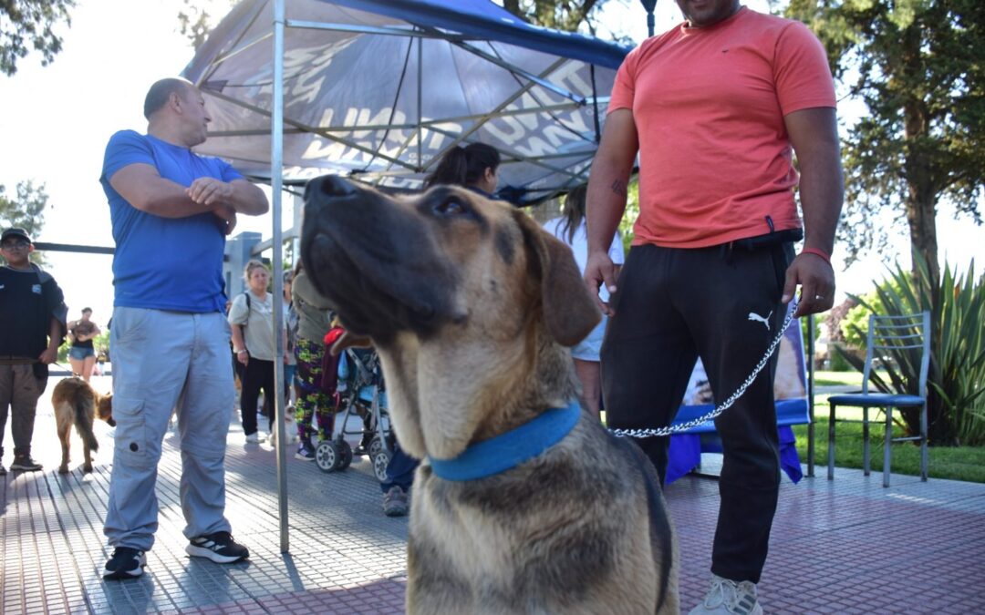 En el Día del Animal, la Vete Móvil estará en la Plaza General San Martín del Departamento de Tunuyán