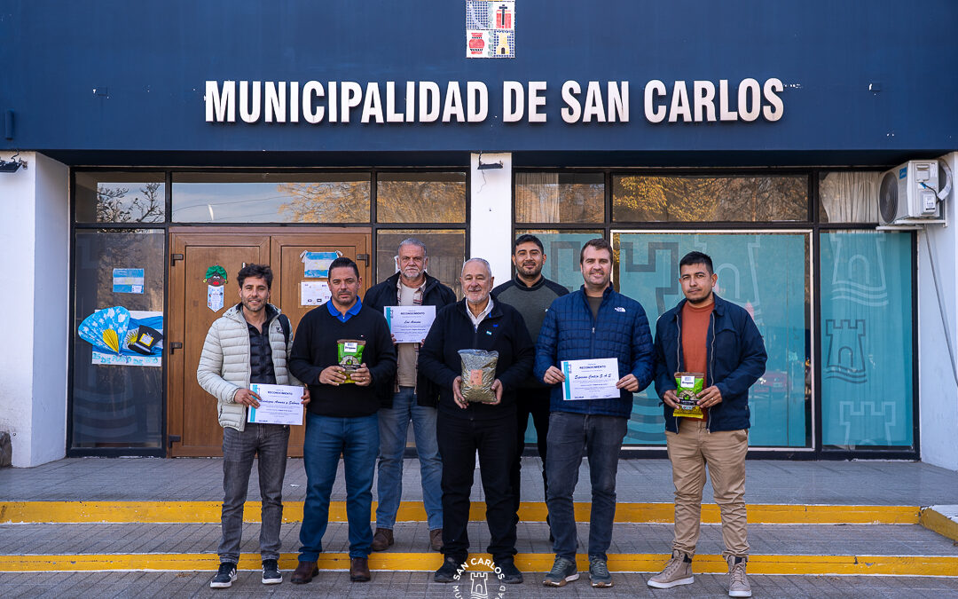 Productores de orégano de San Carlos obtuvieron el reconocimiento de Indicación Geográfica