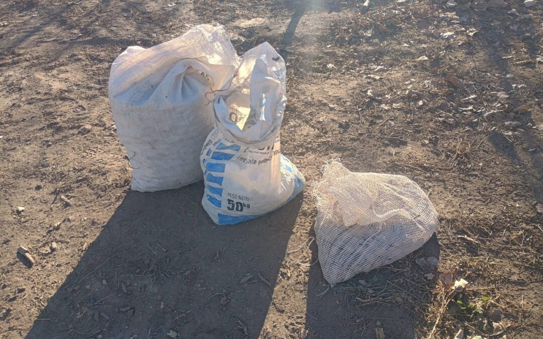 Tunuyán: detuvieron a un hombre y recuperaron 80 kilos de nueces robadas en una finca