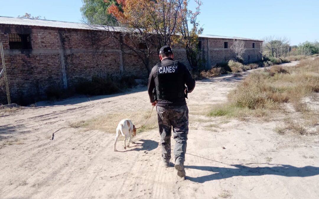 Siguió el rastro del robo, encontró los objetos y hubo un detenido: Fito volvió a ser clave en un operativo