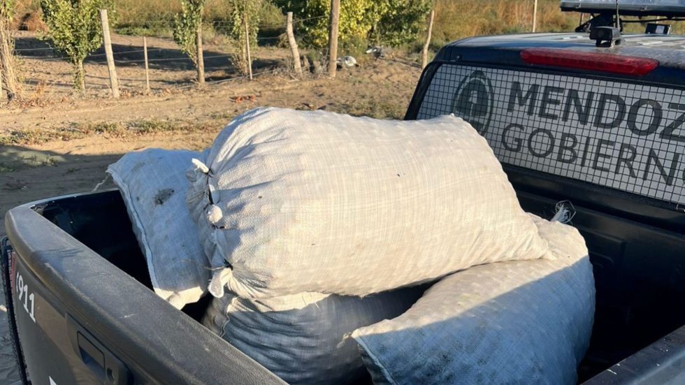 La Policía cerró la temporada de controles en nogaleras con más de 11 toneladas de nueces recuperadas