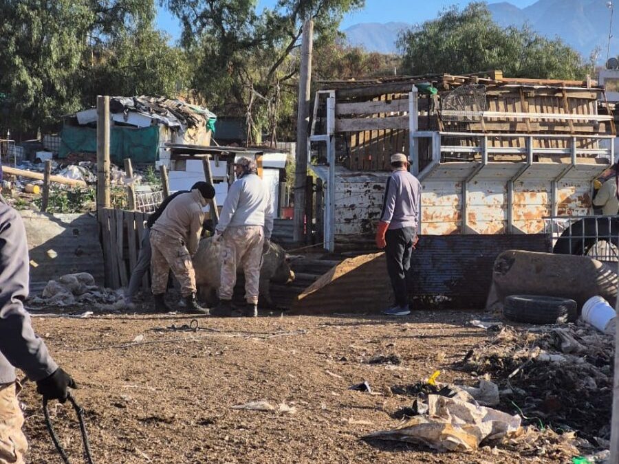 La Policía Rural rescató más de 70 animales en un criadero clandestino