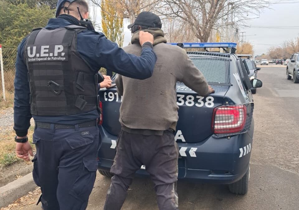 La Policía detuvo a un hombre con cables y motores tras una llamada al 911 en Tupungato