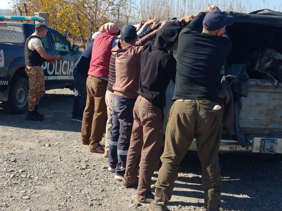Tupungato: Tras el alerta de vecinos, la Policía Rural interceptó a cazadores con galgos en La Carrera